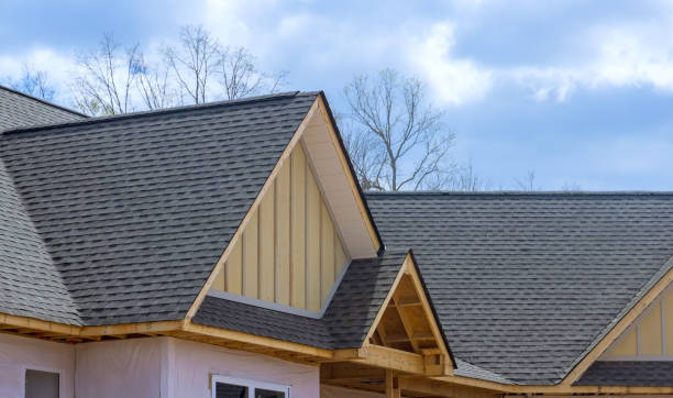 Best Skylight Installation and Repair  in Walnut Hill, TN