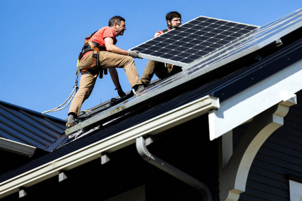 Best Roof Coating and Sealing  in Walnut Hill, TN